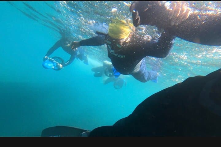Glide Without a Stroke: Clovelly Non-Swimmer Underwater Scooter Tour photo 2