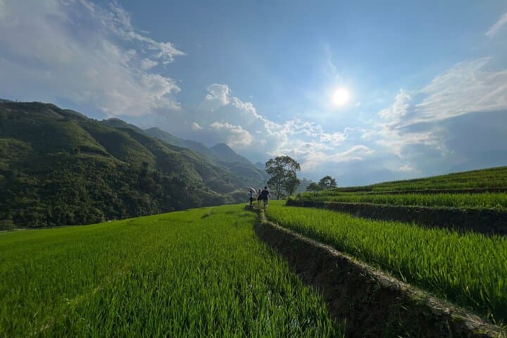 Muong Hoa Valley: 2-Day Sapa Trek with a Local Hmong Guide photo 4