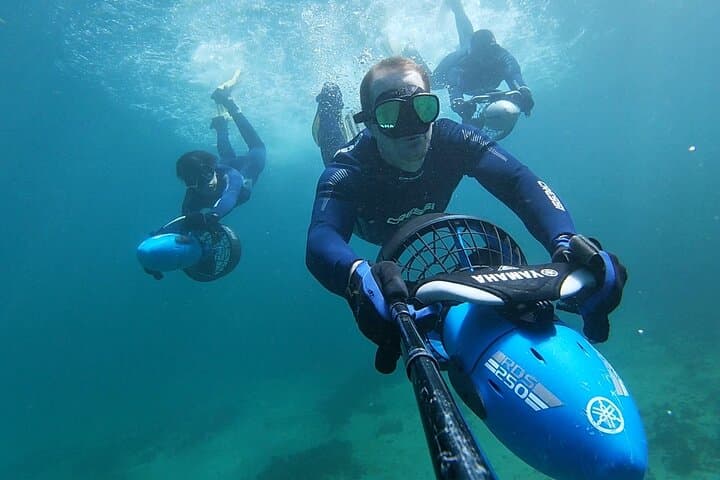 Sydney Underwater Scooter Tours at Gordon's Bay — Guided 90-Min Marine Adventure
