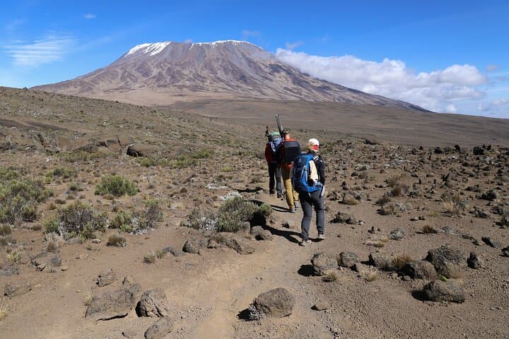 7-Day Rongai Route Kilimanjaro Climb — Private Guided Ascent to Uhuru Peak photo 2