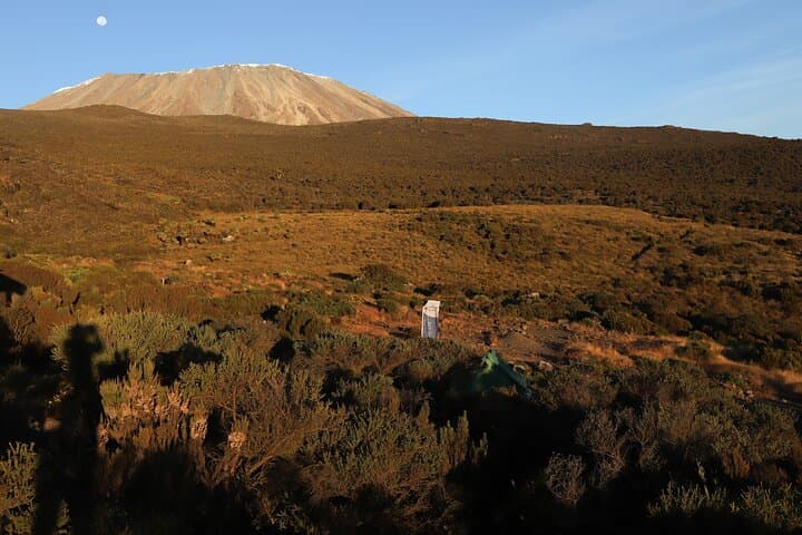 7-Day Rongai Route Kilimanjaro Climb — Private Guided Ascent to Uhuru Peak photo 6
