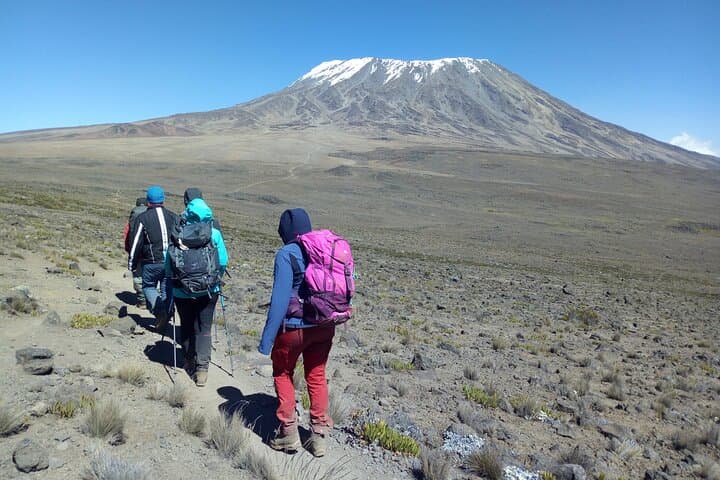 Six-Day Kilimanjaro Rongai Route: Private Trek to Uhuru Peak