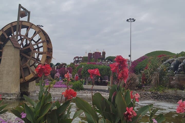 Explore Dubai Miracle Garden: A Practical Visitor's Guide to the Floral Wonderland photo 4