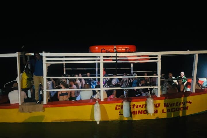 Luminous Lagoon Night Swim: Montego Bay’s Glistening Waters Experience photo 3