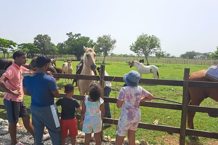 Sunset Horseback Ride to Macao Beach — 2-Hour Punta Cana Tour photo 5