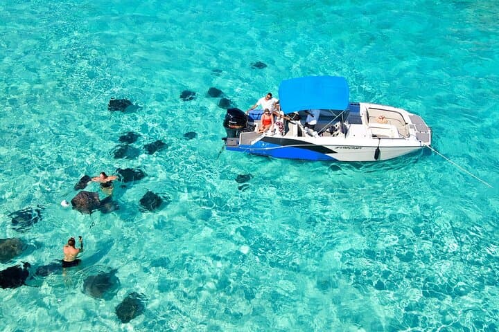 Private Guided Boat Charters in the Cayman Islands — Stingray City, Snorkel & Bioluminescence