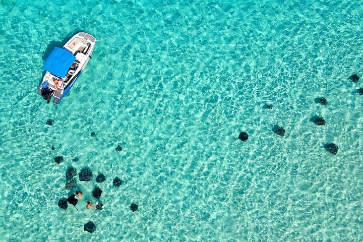 Private Guided Boat Charters in the Cayman Islands — Stingray City, Snorkel & Bioluminescence photo 2