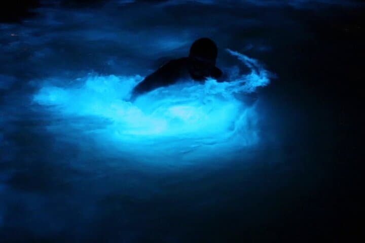 Montego Bay Luminous Lagoon Night Tour — Swim the Bioluminescent Waters photo 1