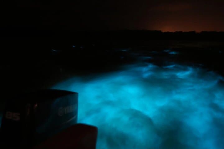 Montego Bay Luminous Lagoon Night Tour — Swim the Bioluminescent Waters photo 2