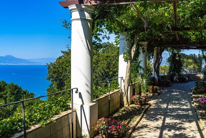 Private Capri Day Trip from Naples: Blue Grotto, Anacapri & Monte Solaro photo 5