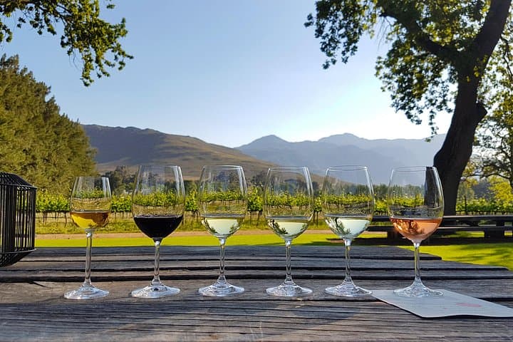Private Full-Day Cape Town Wine Tasting Tour of the Winelands photo 1