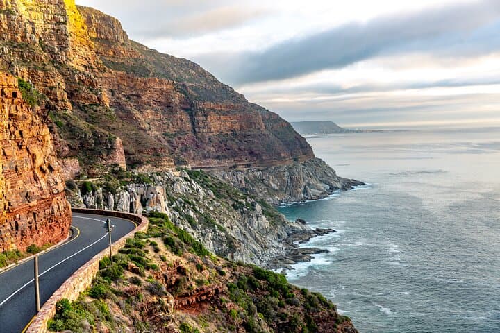 Cape Point & Boulders Beach Private Day Trip — Penguins, Scenic Drives and Cape Peninsula Highlights photo 5