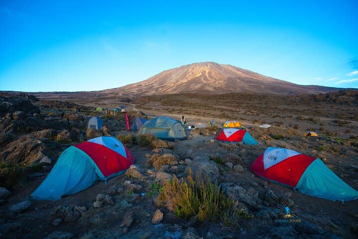 8-Day Kilimanjaro Lemosho Route Trek — Guided Summit to Uhuru Peak photo 5