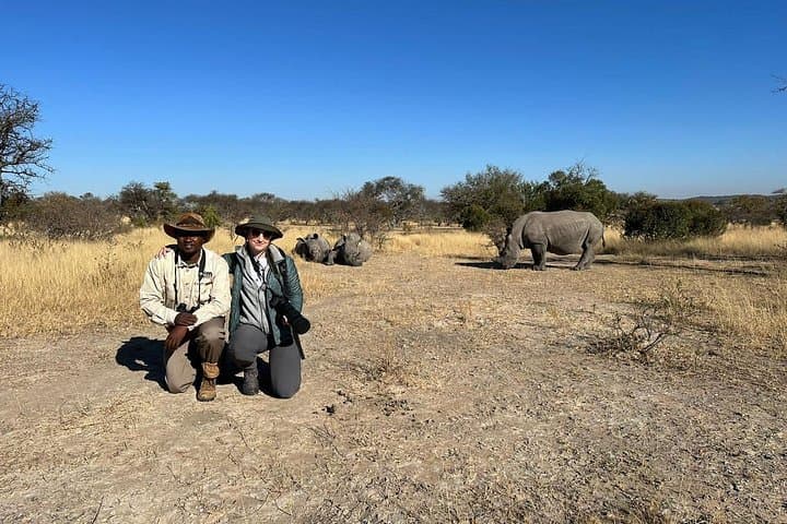 Matobo Rhino Tracking: Walk with White Rhinos in Matobo National Park