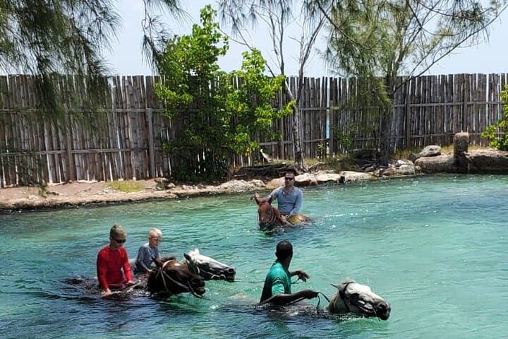 Horseback Riding and River Tubing Combo from Montego Bay — Rio Bueno to Braco Adventure photo 6