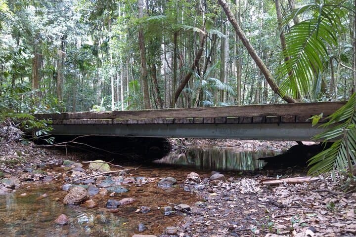 Hastings Hinterland Scenic Day Tour from Port Macquarie — Waterfalls, Lookouts & Rainforest Walks