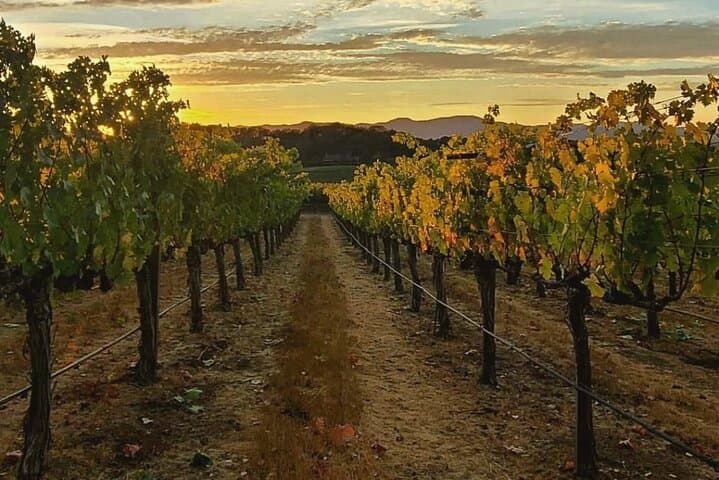 Discover Napa Valley's Hidden Wineries: Intimate Tour with a Local Sommelière photo 2