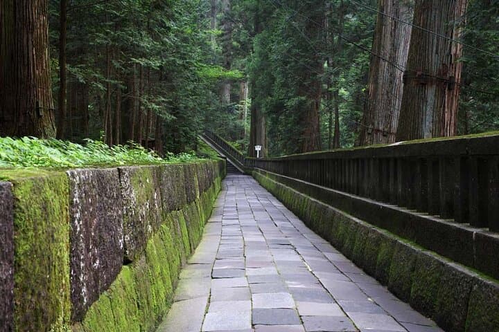 Morning Hike & Birdwatching at Nikko Toshogu Shrine: Cedar Forest Walk and Shrine Circuit photo 4