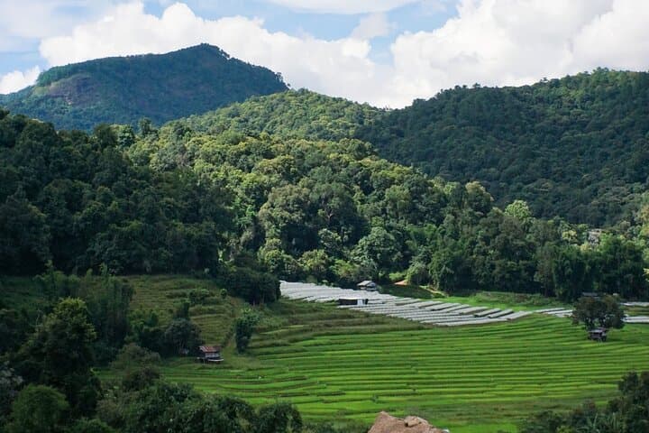 Doi Inthanon Hike: Inthanon National Park Tour & Pha Dok Siew Soft Hike from Chiang Mai photo 3