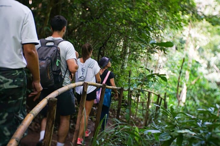 Doi Inthanon Hike: Inthanon National Park Tour & Pha Dok Siew Soft Hike from Chiang Mai photo 2