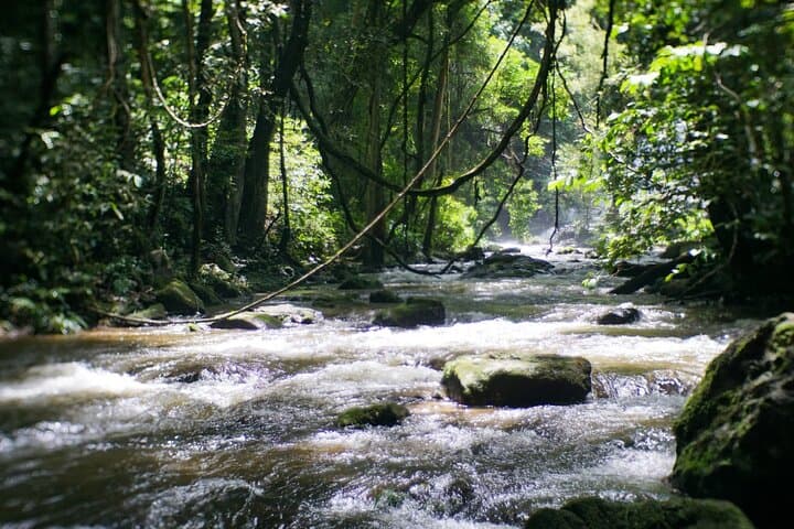 Doi Inthanon Hike: Inthanon National Park Tour & Pha Dok Siew Soft Hike from Chiang Mai photo 4