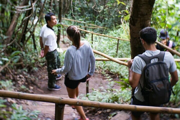 Doi Inthanon Hike: Inthanon National Park Tour & Pha Dok Siew Soft Hike from Chiang Mai photo 5