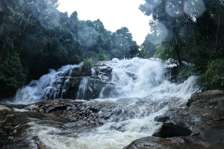 Doi Inthanon Hike: Inthanon National Park Tour & Pha Dok Siew Soft Hike from Chiang Mai photo 6