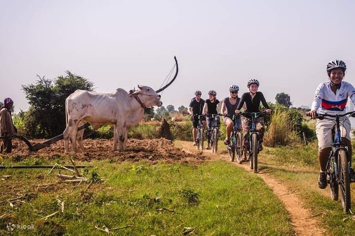 Mekong Island Bike Tour & Farm Lunch on Silk Island photo 3
