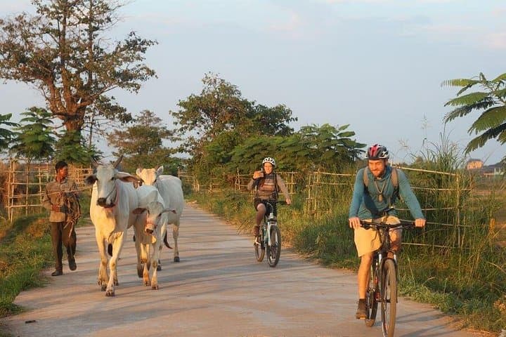 Mekong Island Bike Tour & Farm Lunch on Silk Island photo 4