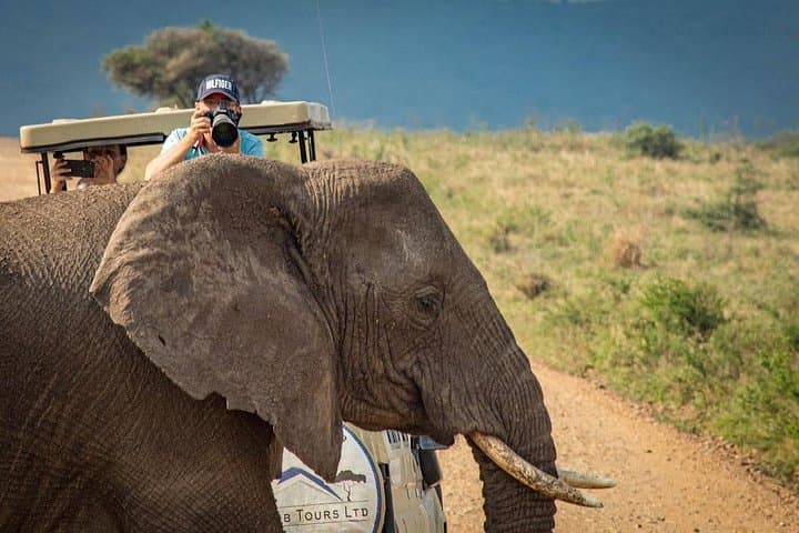 3-Day Tarangire, Ngorongoro Crater & Lake Manyara Safari — Big Game and Flamingo Shores photo 1