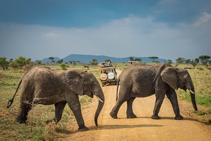6-Day Northern Tanzania Safari: Tarangire, Serengeti & Ngorongoro Crater