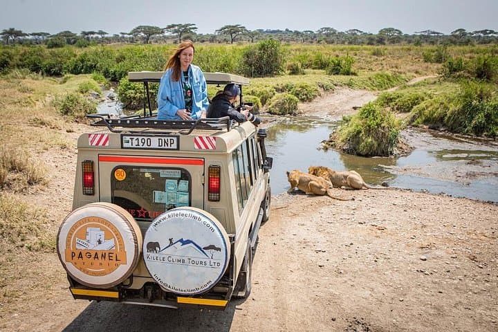 3-Day Tarangire, Ngorongoro Crater & Lake Manyara Safari — Big Game and Flamingo Shores photo 4