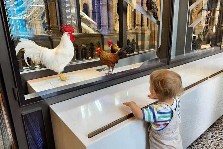 Kid-Friendly Natural History Museum & Dinosaur Highlights Private Tour London photo 4