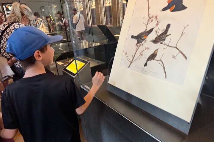 Kid-Friendly Natural History Museum & Dinosaur Highlights Private Tour London photo 5