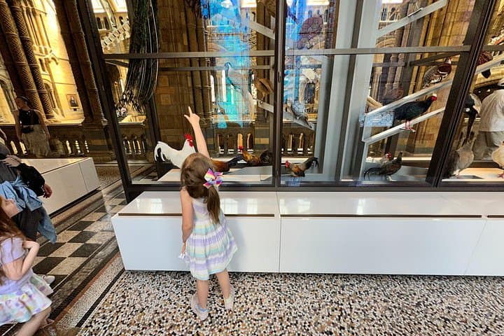 Private Kids Tour: Natural History Museum & Dinosaur Gallery, London photo 3