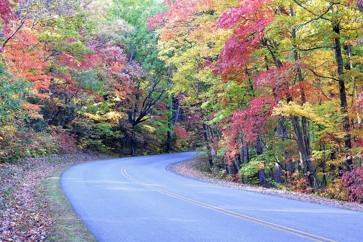 Exploring Blue Ridge Parkway Waterfalls: A Private Hiking Tour from Asheville photo 4