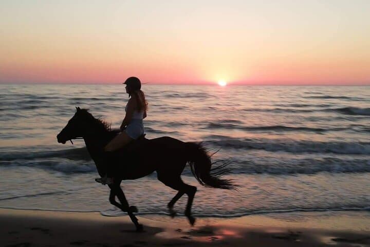 Durrës Beach Horseback Ride: Pine-Forest to Coast 3-Hour Trail photo 3