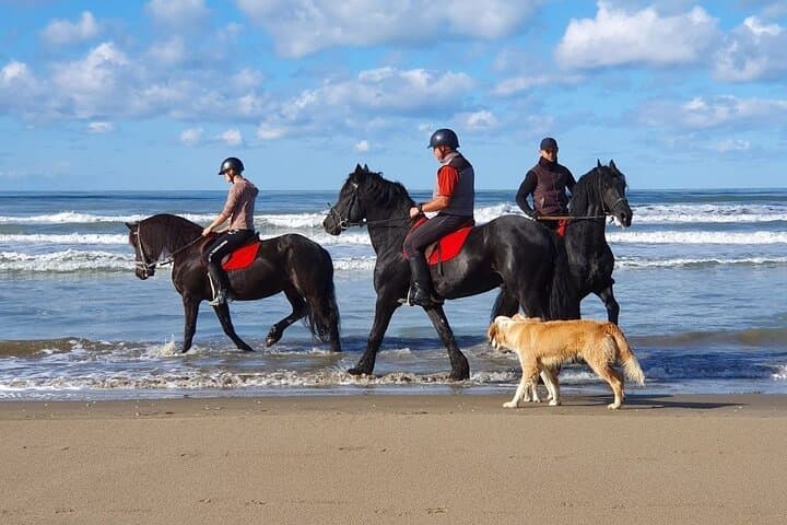 Durrës Beach Horseback Ride: Pine-Forest to Coast 3-Hour Trail