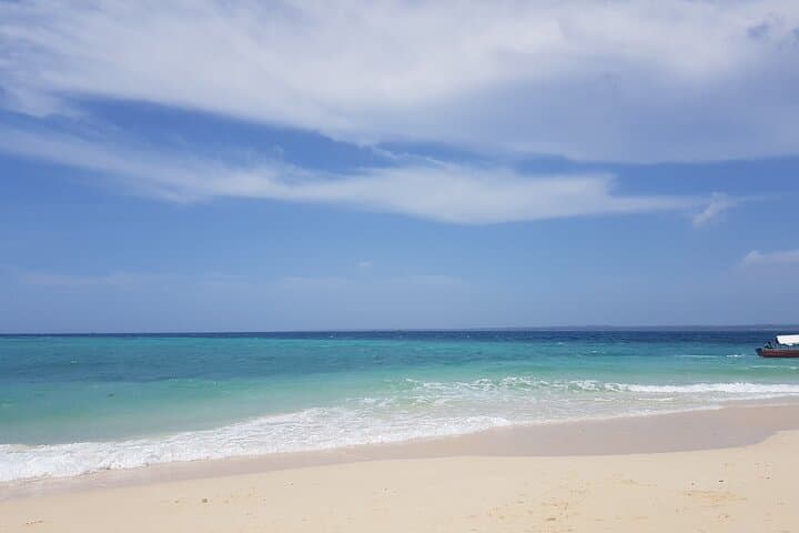 Full-Day Jozani Forest, Paje Beach & The Rock Restaurant Private Tour from Stone Town photo 3