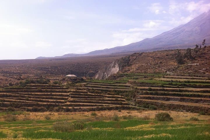 Half-Day Countryside Hike in Characato, Arequipa — Colonial Fields & Picanterias photo 4