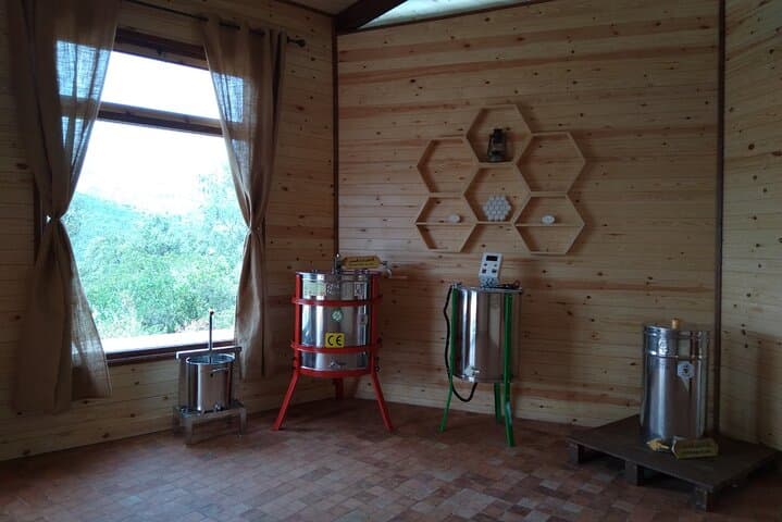 Chefchaouen Beekeeping Eco-Tour: Honey Crafts & Forest Walk in Talassemtane photo 3