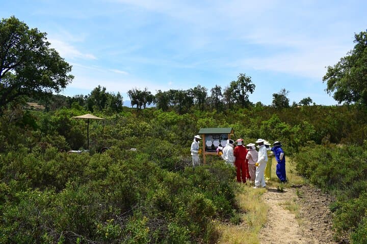 Chefchaouen Beekeeping Eco-Tour: Honey Crafts & Forest Walk in Talassemtane photo 5
