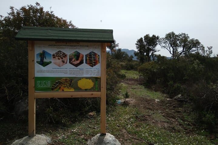 Chefchaouen Beekeeping Eco-Tour: Honey Crafts & Forest Walk in Talassemtane photo 6