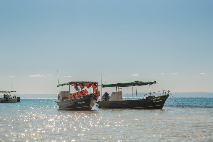 Espíritu Santo Day Tour from La Paz — Snorkel with Sea Lions & Island Wildlife photo 3