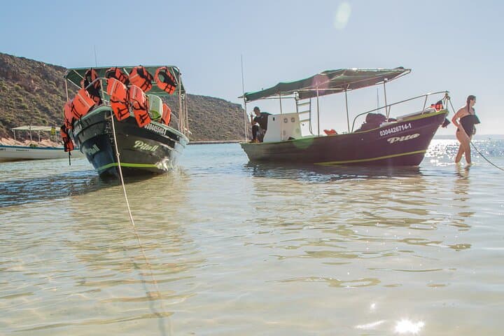 Espíritu Santo Day Tour from La Paz — Snorkel with Sea Lions & Island Wildlife photo 4