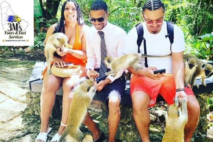 Explore Barbados: Private Full-Day Customised Island Tour from Bridgetown photo 5