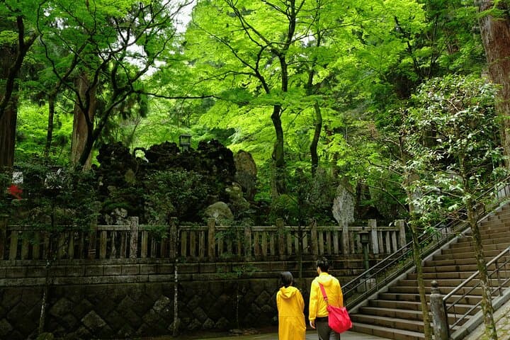 Forest Bathing and Healing Onsen near Odawara: Temple Walk and Hot Spring Day Tour photo 5