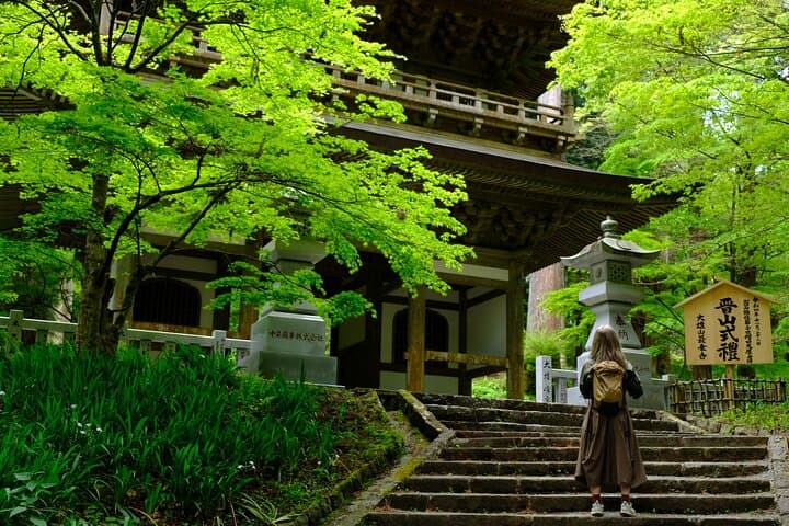 Forest Bathing and Healing Onsen near Odawara: Temple Walk and Hot Spring Day Tour