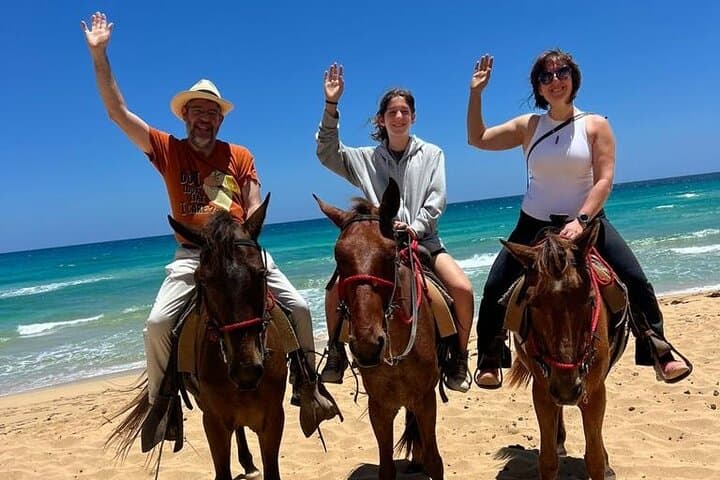 Sunset Horseback Ride on Punta Cana Beach — Coastal Equine Adventure photo 2