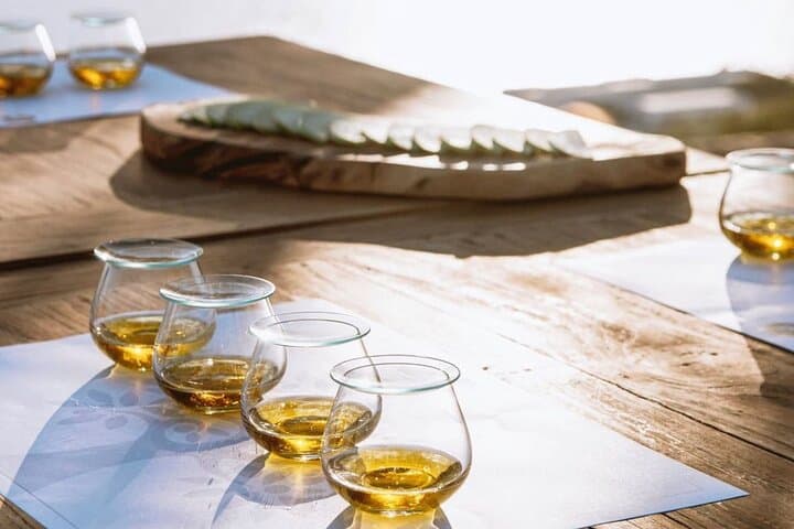 Olive Oil, Cheese & Wine Tasting on a Suisun Valley Family Farm photo 1